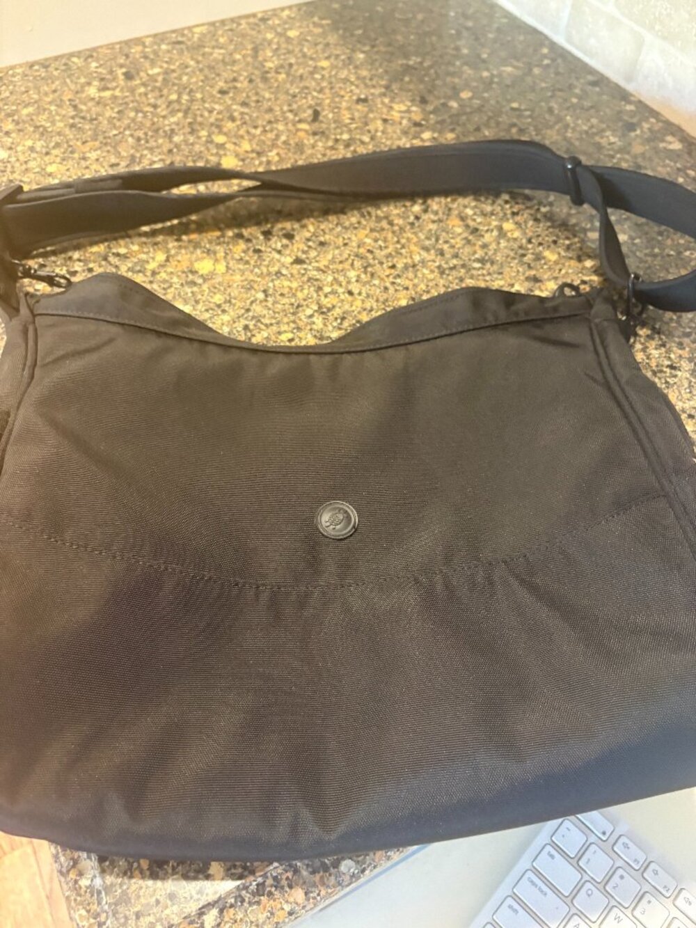 PacSafe purse